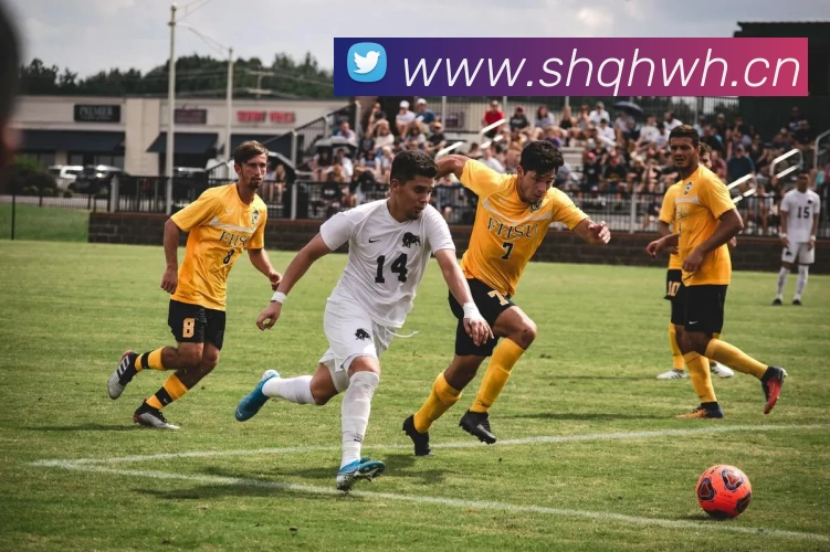 开云手机web版登录入口 - 开云(中国)服务体系