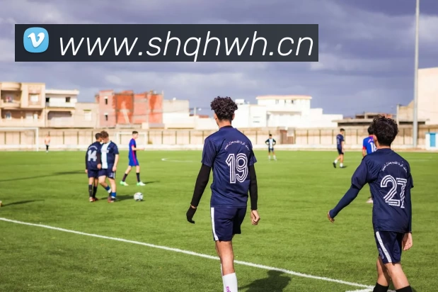 App Interface Preview