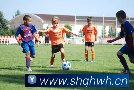 多媒体互动体验