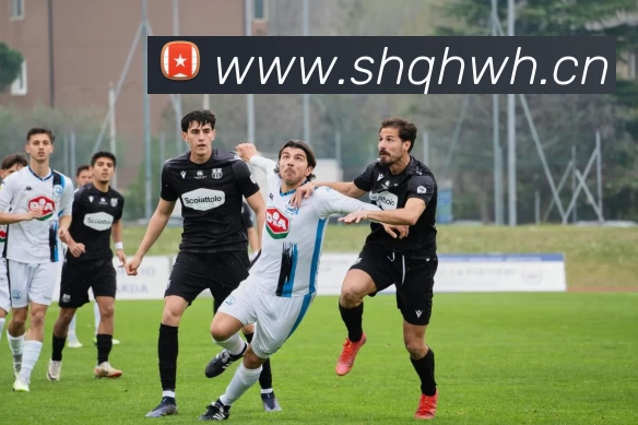 开云手机web版登录入口 - 开云(中国)APP 体育赛事宣传图