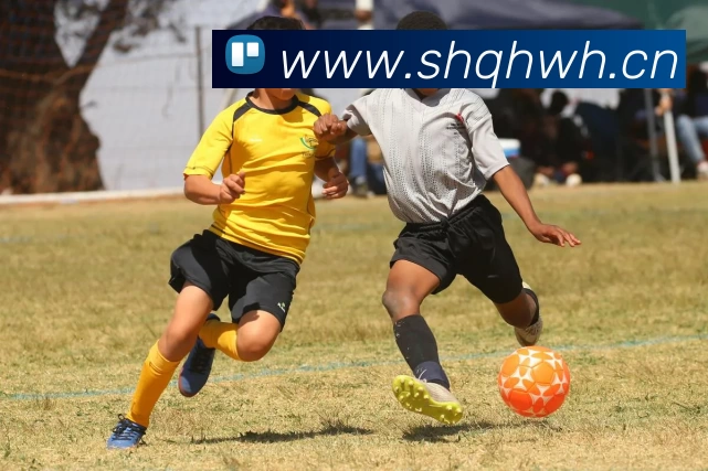 数据防护可视化